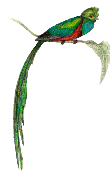James Bybee bird
