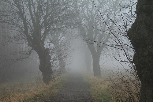 Mark Smith: A Messenger Travels Great Distances to Reach You