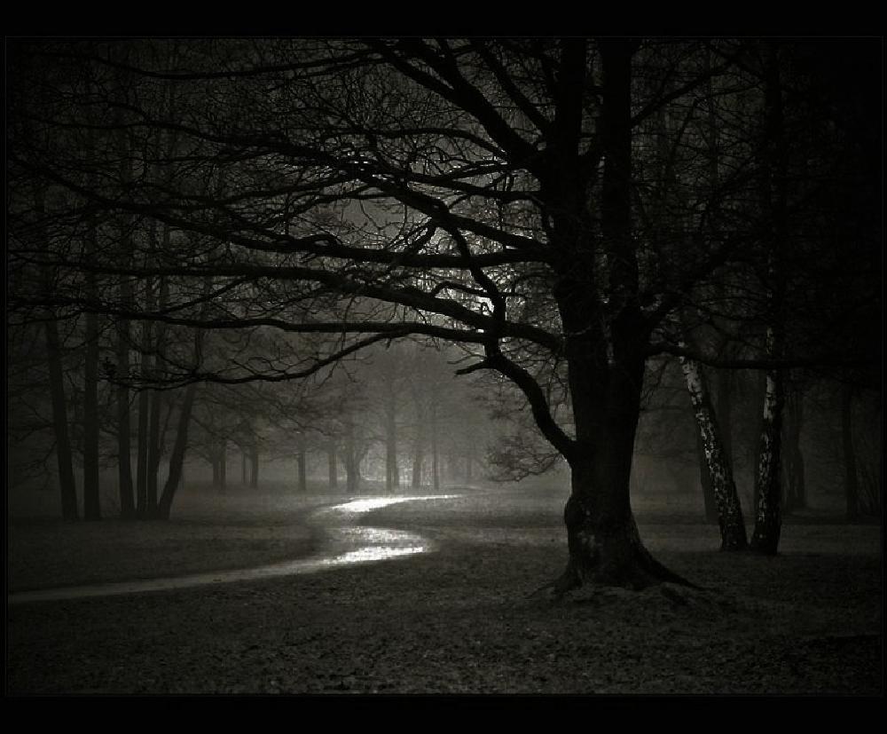 Bill Wolak: Let's Not Sleep Tonight