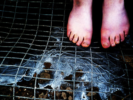 Eleanor Bennett: Ice Mesh