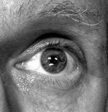 D. G. Zorich: Answering a Skeptic