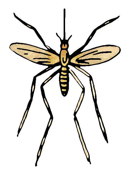 Ronald F. Sauer: From a Houseguest to a Hostess (A Venetian Aside), Or: To Our Lady of the Little Mosquitoes