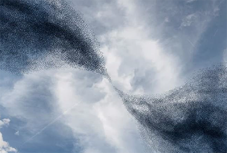 César Love: Starlings’ Eve