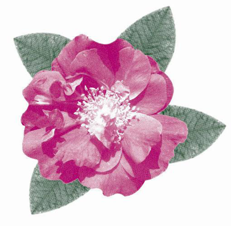 Jack Foley: Three Poems