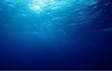 Ann Power: Three Poems
