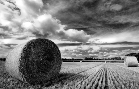 Vincent Carotenuto: Two Poems